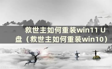 救世主如何重装win11 U盘（救世主如何重装win10）